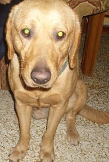 aquiles_dic_08.jpg