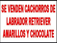 banner_casita_del_labrador_01.gif